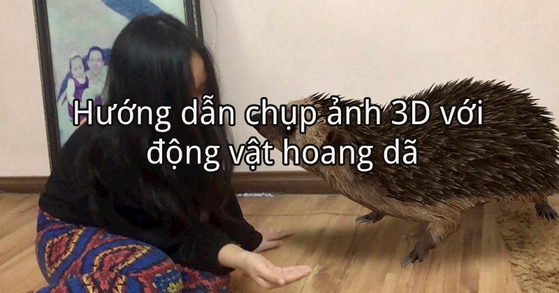 Ở nhà tránh dịch thì làm gì? - Hướng dẫn cách chụp ảnh 3D với động vật hoang dã ngay trong nhà!